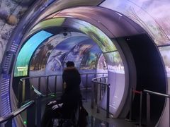 -房山世界地质公园博物馆