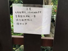 -清迈女子监狱马杀鸡(无分店)