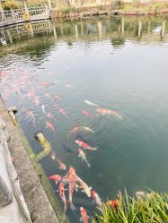 -长沙小顽国景区