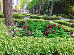 -苏州河梦清园环保主题公园