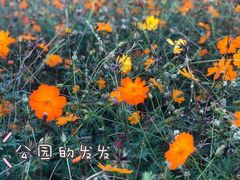 -钟山体育运动公园