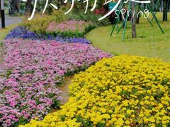 -文华公园(禅城区)