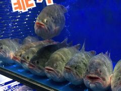 -盒马鲜生(双清路店)