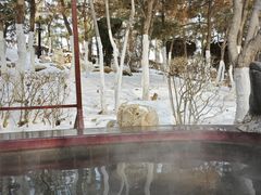 -东方华地城湿地温泉度假区