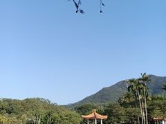 -深圳仙湖植物园