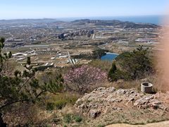 -金龙寺国家森林公园