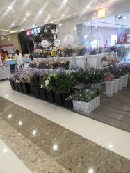 -MOVAN HAIR莫凡匠人发型屋
