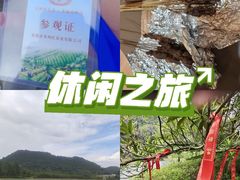 -飞来湖湿地公园
