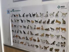 -宠福鑫康馨动物医院·骨科·眼科