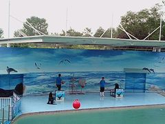 -西安秦岭野生动物园