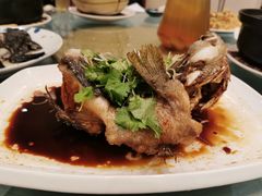 -沙龙酒家