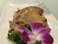 -松沪名灶·豆浆鱼头·新上海菜(飞航吾悦广场店)