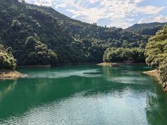 -鼎湖山风景区