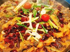 -老板恋上鱼(恒隆广场店)