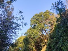 -桂山风景旅游区