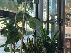 -Wagas沃歌斯(富力广场店)