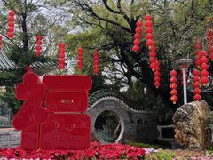 -荔湾湖公园