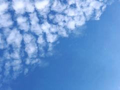 -北海金海湾红树林生态旅游区