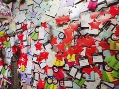 -长藤鬼校(龙翔店)