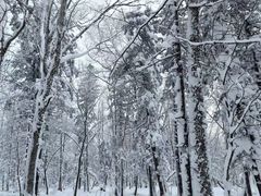 -北极村旅游风景区