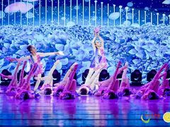 -舞蕾舞蹈(特长生校区)