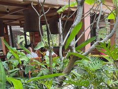 -西双版纳洲际度假酒店-曼霖轩中餐厅