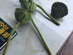 -同銮特种养殖场·龙虾垂钓