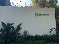 -深圳湾公园(南山区)