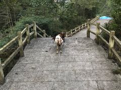 -清江方山景区
