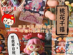 -IPSTAR潮玩星球(西单华威潮铺街店)