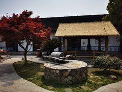 -莲花岛景区