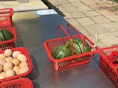 -大自然农场蔬菜草莓采摘园