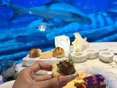 -亚特兰蒂斯•OSSIANO奥西亚诺海底餐厅
