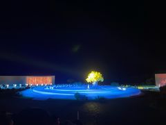 -鼎盛王朝康熙大典实景演出