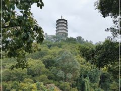 -深圳国际园林花卉博览园