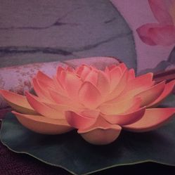 -御品•瑶浴灸疗SPA