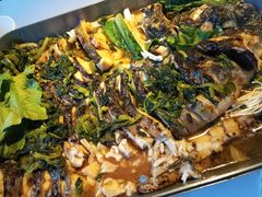 -鱼酷活鱼烤鱼(中联广场店)