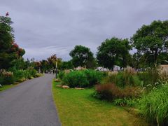 -上海长兴岛郊野公园