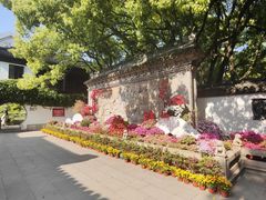-上海醉白池公园