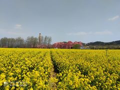 -西海岸生态观光园