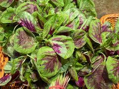 -台鄉缘 ·小海鲜·台州菜(桃林路店)