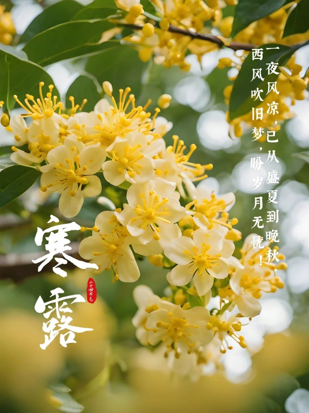 寒露初临