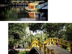 -晓港公园