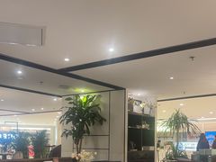 -羲和雅苑•北京烤鸭(国贸商城店)
