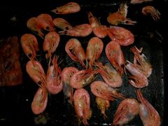 -比尔森韩式烤肉自助(绿园店)