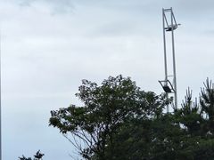-青岛石老人海水浴场