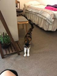 -尚美日式美甲美睫工作室