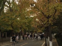 -八大关景区