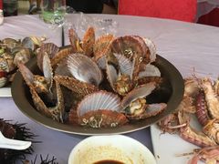 -宾朋海鲜特色美食餐厅·纯手工鲅鱼水饺(兴海路店)