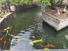 -猪肉婆私房菜(容桂总店)